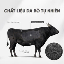 Tui Bao Tu Nam Da That Gb Tc39 Da Bo