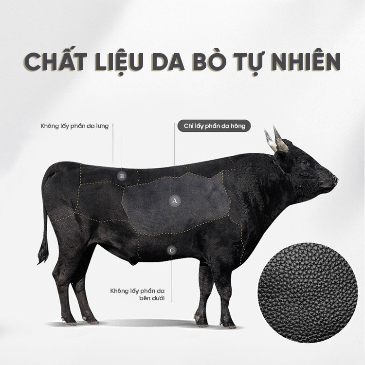Tui Bao Tu Nam Da That Gb Tc39 Da Bo
